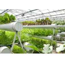 中农共信有机瓜菜工厂是怎么运营的 靠不靠谱